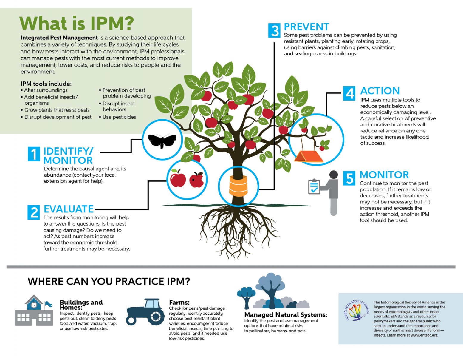 Integrated Pest Management (IPM)