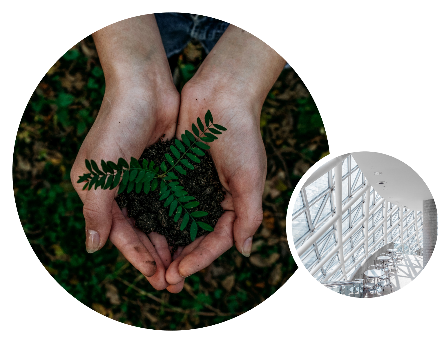 The impact of facilities management on the environment and how to reduce waste